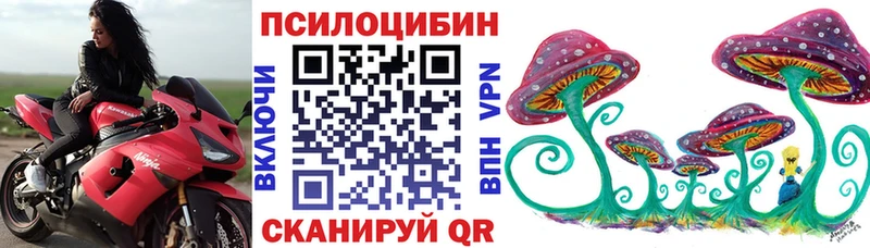 Галлюциногенные грибы Psilocybine cubensis  Купить закладки  Слободской 